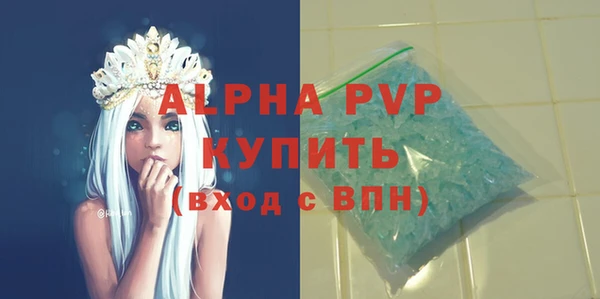 СК Богородицк