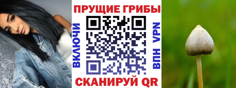 Галлюциногенные грибы мицелий  где купить наркоту  Юрюзань 